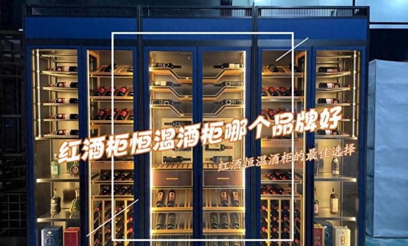 红酒柜恒温酒柜哪个品牌好?2025最建议买这3款:性价比高,口碑公认 - 家居知识