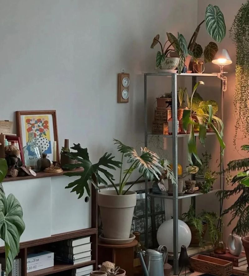 分享/日系中古风的家 - 家居知识