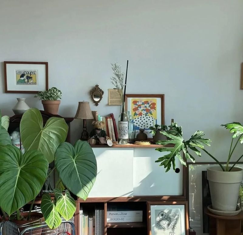 分享/日系中古风的家 - 家居知识