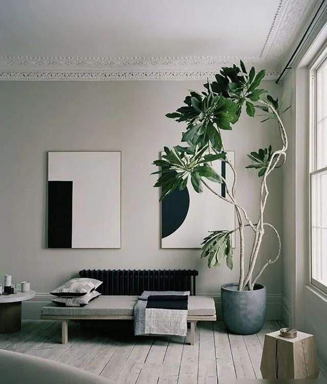 有一种风格叫极简风，火红盛行！10条干货让你家也利落整齐！美！ - 家居知识