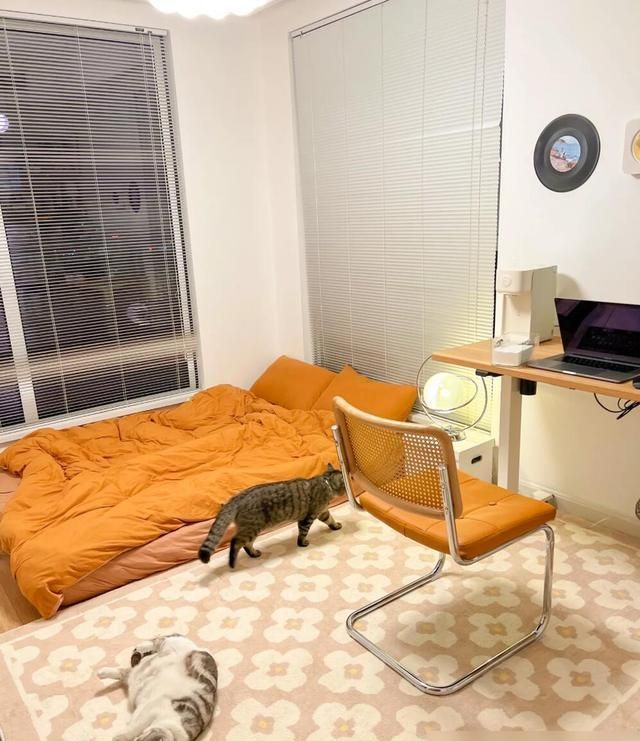 原木风不愧是“现象级风格”！她自己设计的家，照样美得不像话 - 家居知识