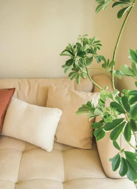 上海太太113㎡新家，因装修布置而走红：原木奶油风，温柔又治愈 - 家居知识