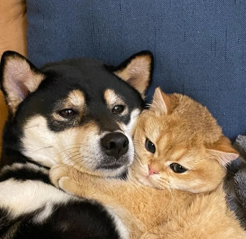 63m²手枪户巧改十大功能区！中古风婚房设计惊艳全网