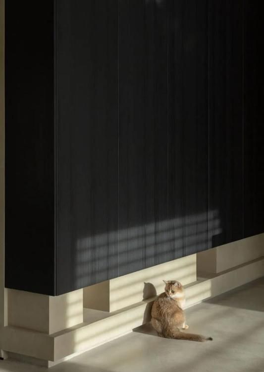 今年谁能逃过侘寂风？超大横厅+全屋大地色，别人家真的美爆了 - 家居知识