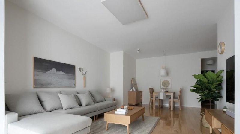 坚持极简主义的她不造型不吊顶，把家装修得干干净净，看着都舒服 - 家居知识