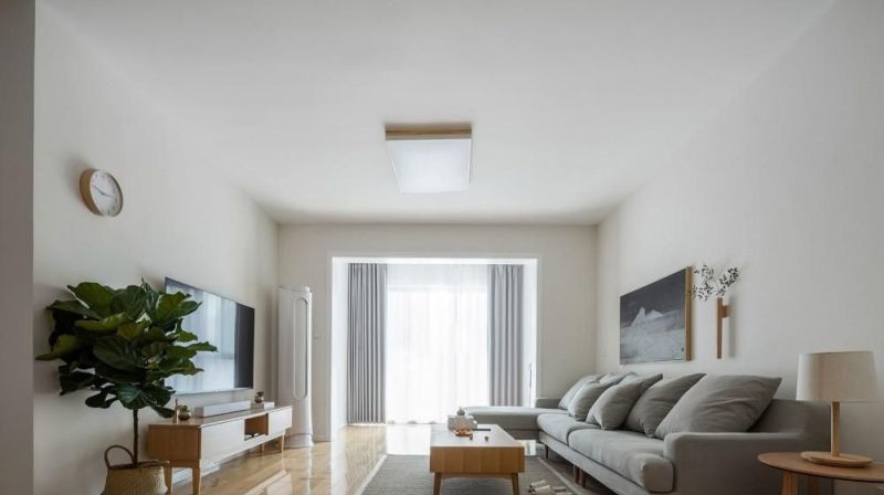 坚持极简主义的她不造型不吊顶，把家装修得干干净净，看着都舒服 - 家居知识