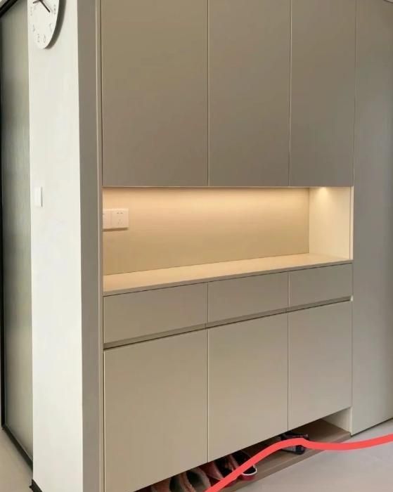 “传统鞋柜”正退出中国家庭！看看年轻人的做法，那叫一个高级 - 家居知识