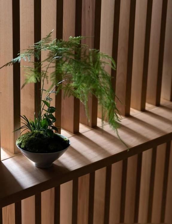 成都发现一户人家的装修，140㎡4室2厅，全日式原木风太治愈了 - 家居知识