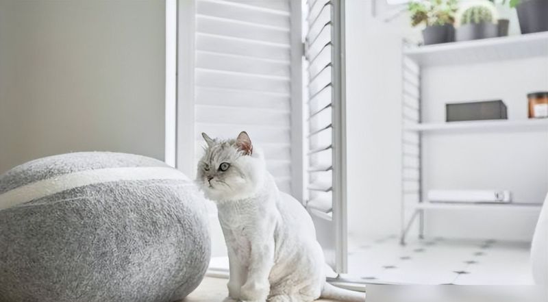 全小区装修，他家北欧风最好看！94㎡三室清爽开阔，邻居都来抄 - 家居知识