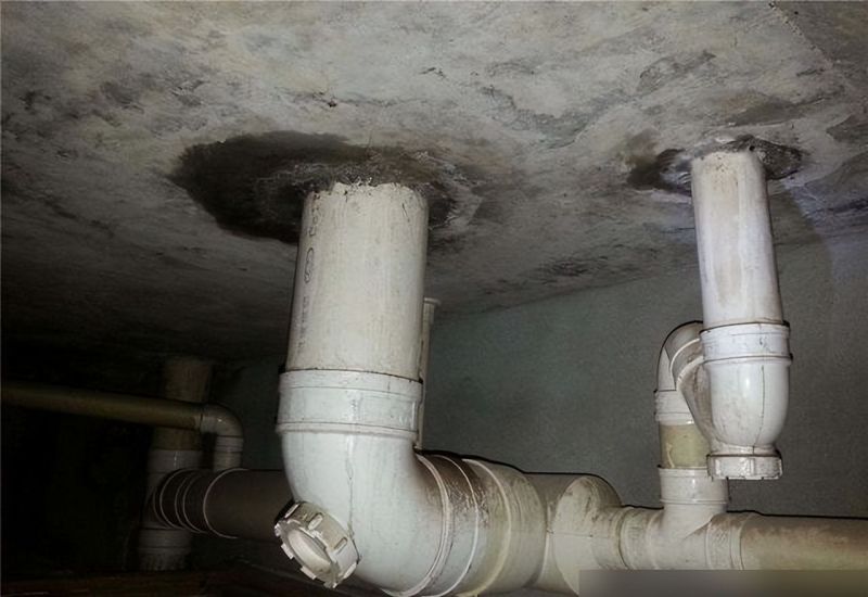 可以改成衣帽间的空间有很多，主卧卫生间是效果最差的一个 - 家居知识