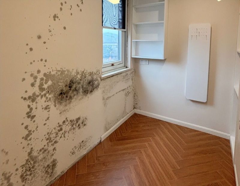 有一种痛苦叫“主卫改衣帽间”，入住半年后，我真想砸掉重装！ - 家居知识