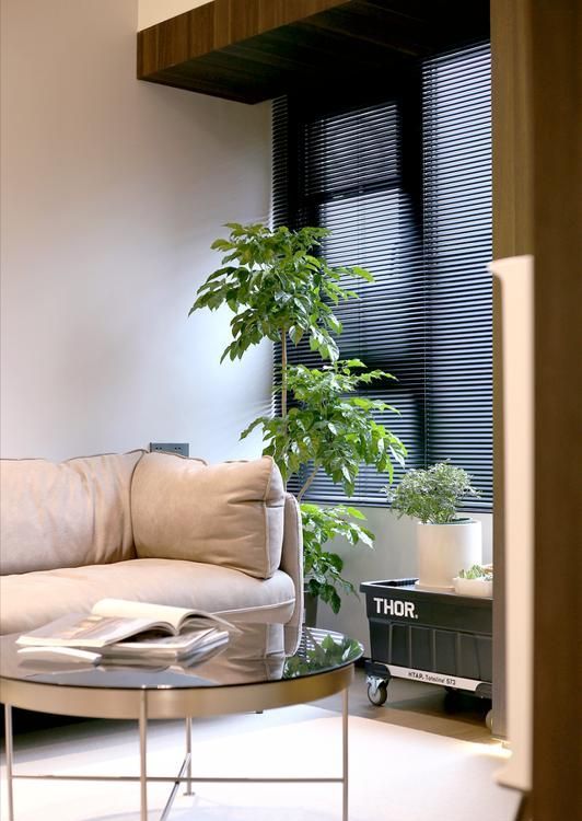 我悟了：看完26岁小哥家的装修，60㎡，果然越简约越是好看，晒晒 - 家居知识