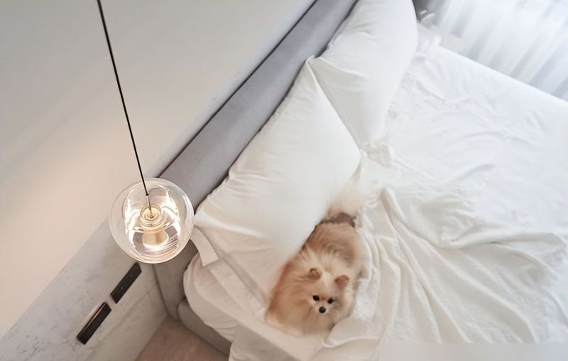 绝美的气度与质感，这才是适合小户型的绝美法式风格 - 家居知识