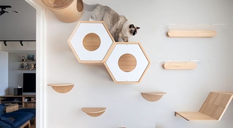 年轻夫妻改造66㎡日式风，全屋收纳翻倍、原地扩容，网友狂赞实用 - 家居知识