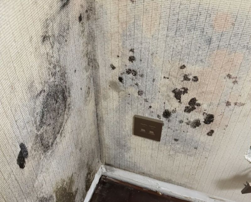 “榻榻米”已经退出中国家庭！现在流行这么设计，那叫一个高级 - 家居知识