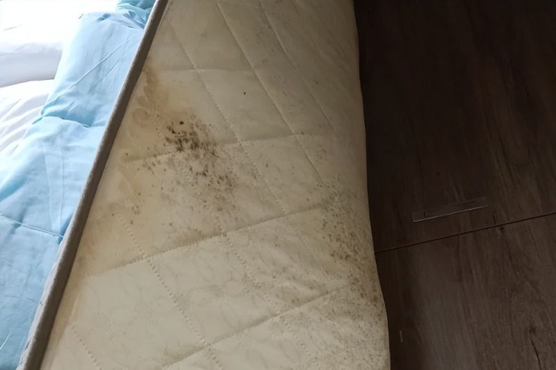 “榻榻米”已经退出中国家庭！现在流行这么设计，那叫一个高级 - 家居知识