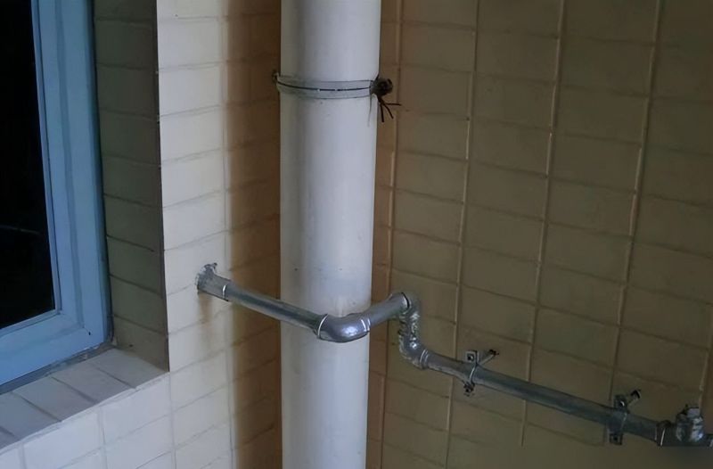 想要把洗衣机放阳台，5项“硬性”条件要满足 - 家居知识