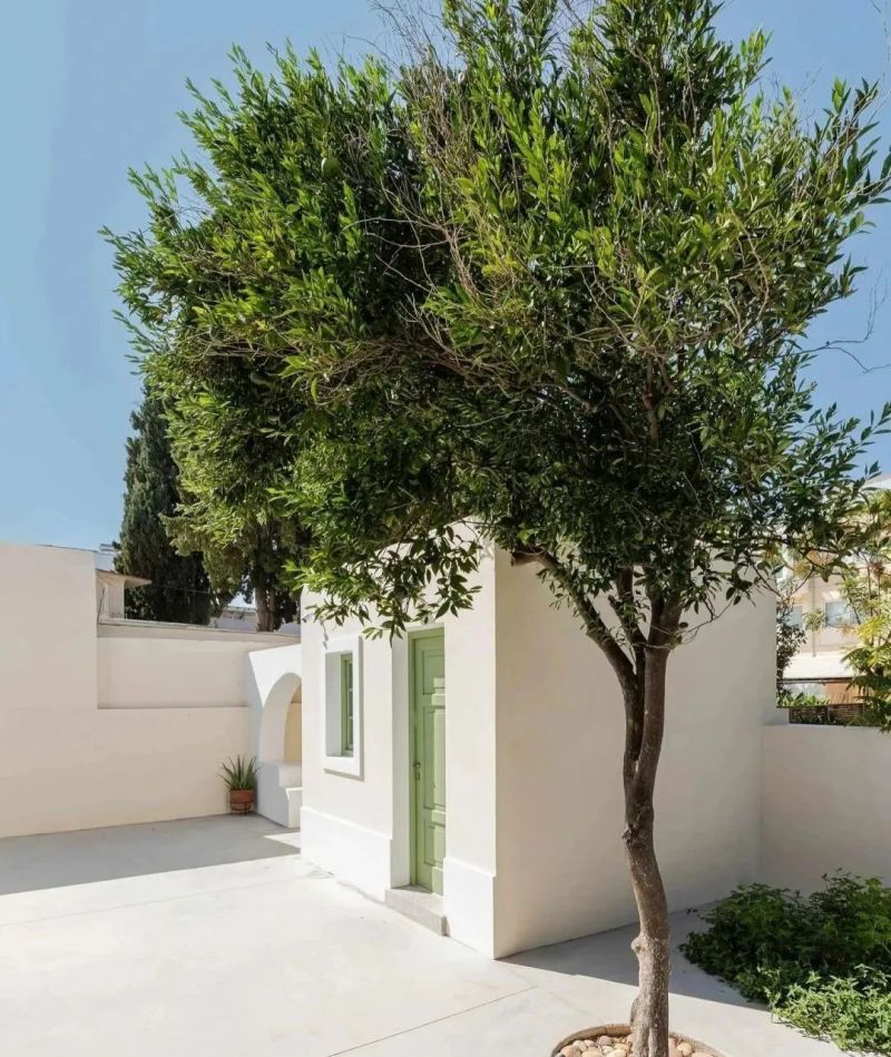 不想花园太复杂、可以试试地中海混现代 - 家居知识