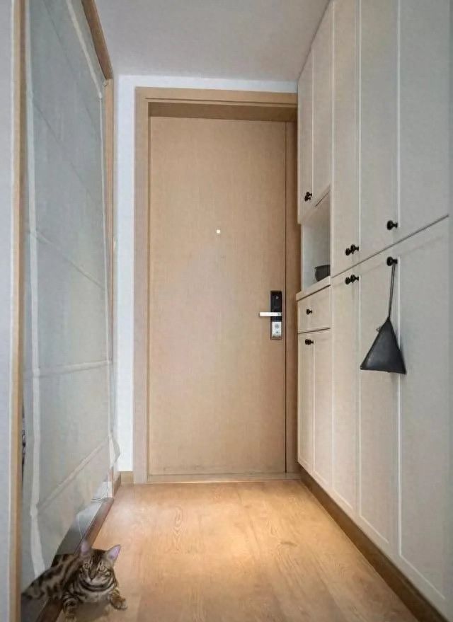 5种玄关户型设计方案+4个实用细节，小空间也能装出高级感