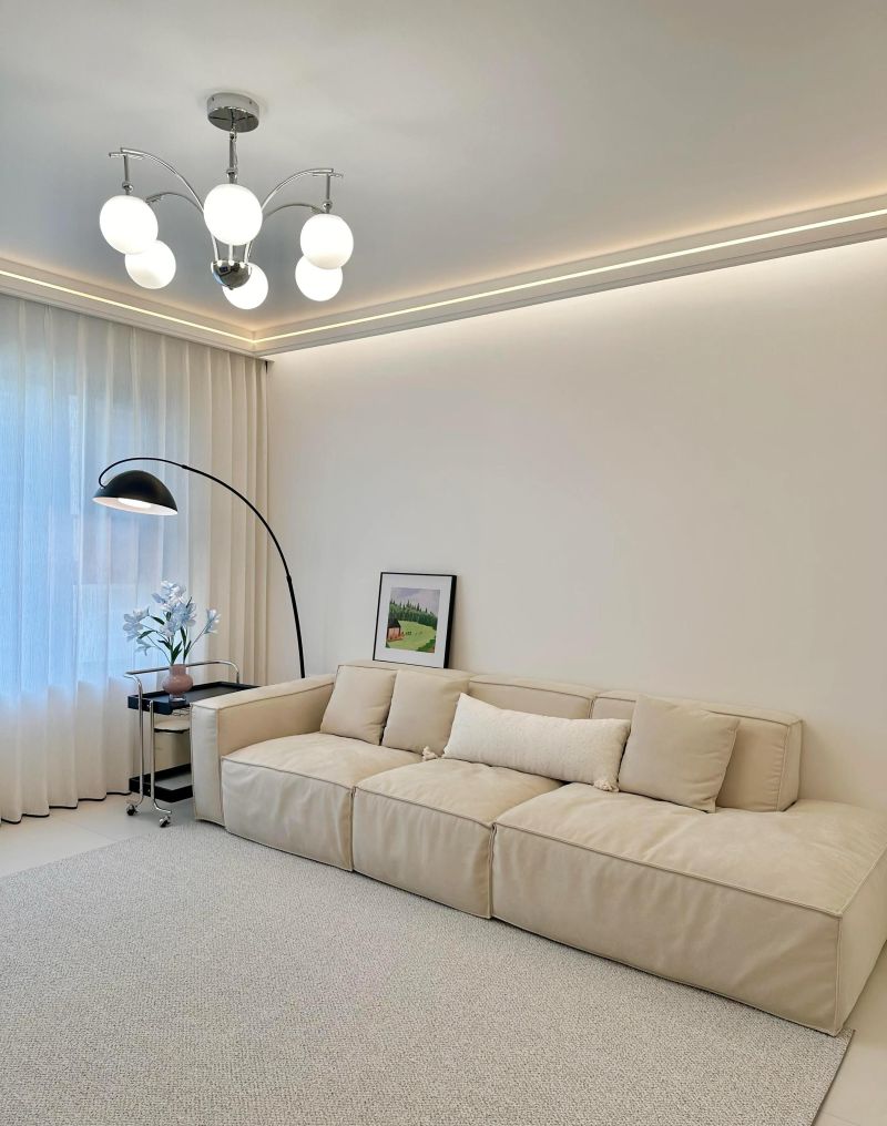 极简风装修，绿植给我的小家注入生机 - 家居知识