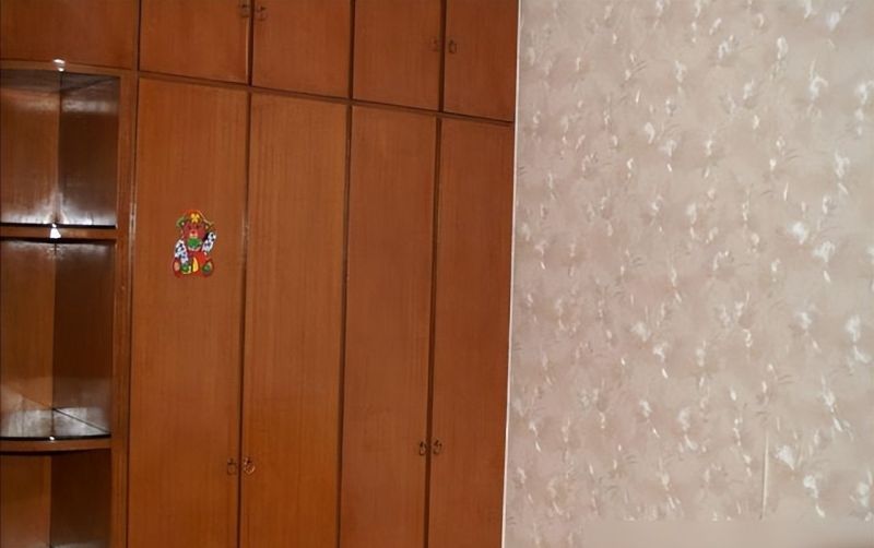 定制衣柜，不要做这些乱七八糟的设计，不是矫情，真吃过细节的亏 - 家居知识