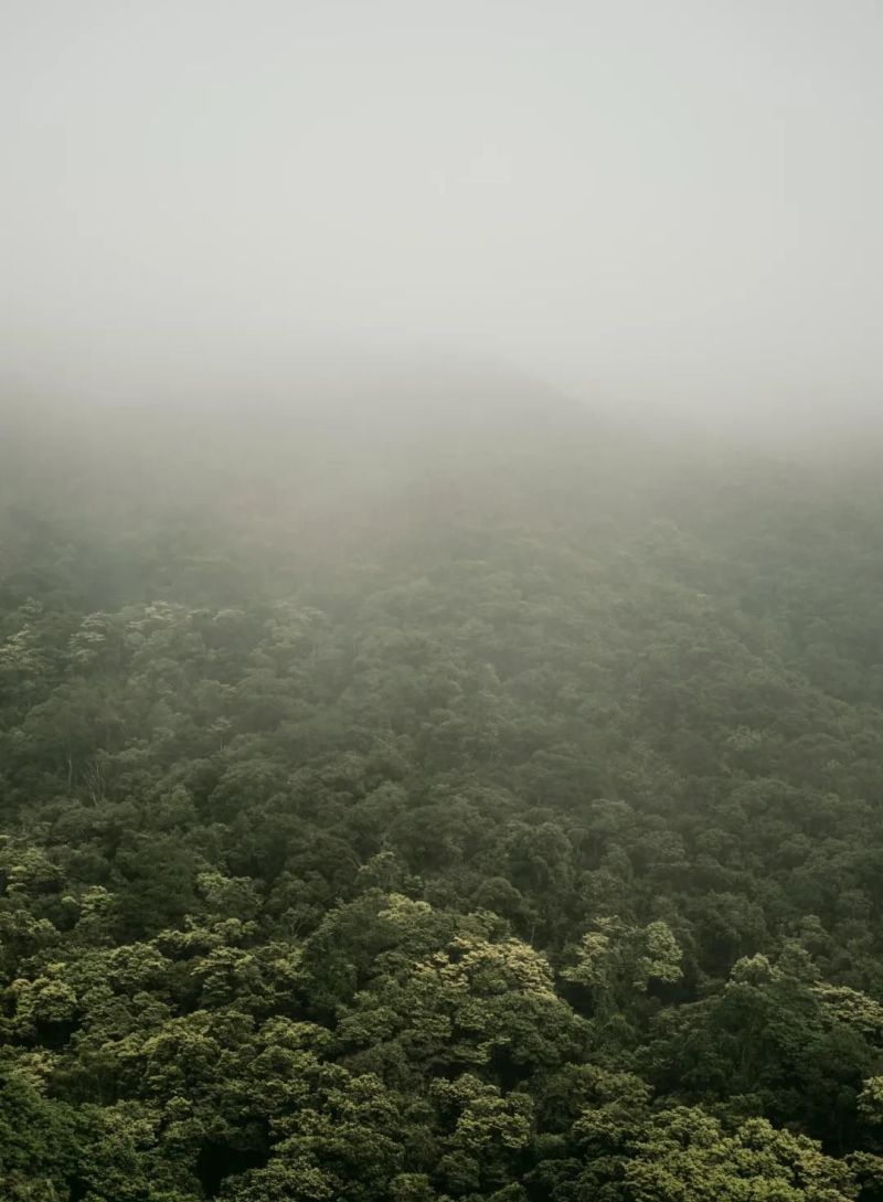 香港极简大平层，原木风yyds！ - 家居知识