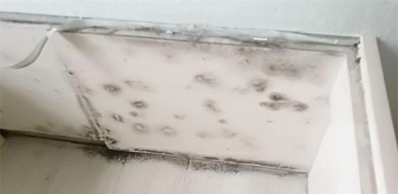 “跌下神坛”的榻榻米，为啥会从山巅陨落？被时代淘汰谁也躲不过 - 家居知识