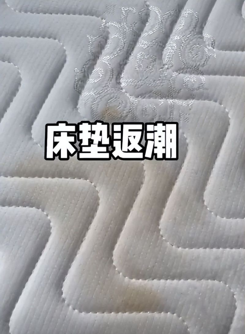 “跌下神坛”的榻榻米，为啥会从山巅陨落？被时代淘汰谁也躲不过 - 家居知识