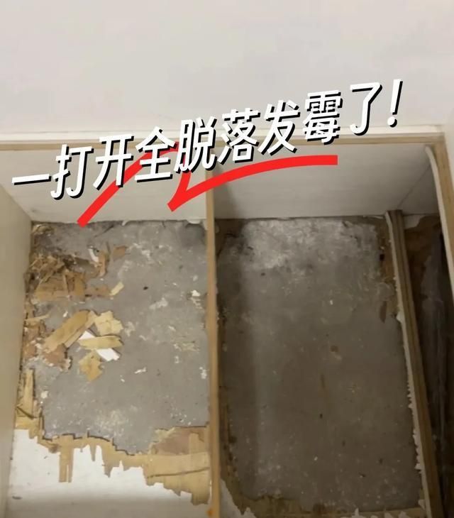 “榻榻米”已退出中国家庭，学上海人的高级做法，漂亮又实用！ - 家居知识