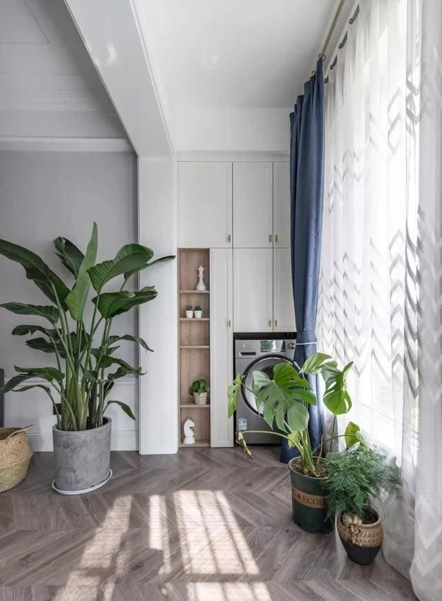 这是我见过最温馨的北欧风，满屋子的阳光和绿植！一进屋就迷住了 - 家居知识