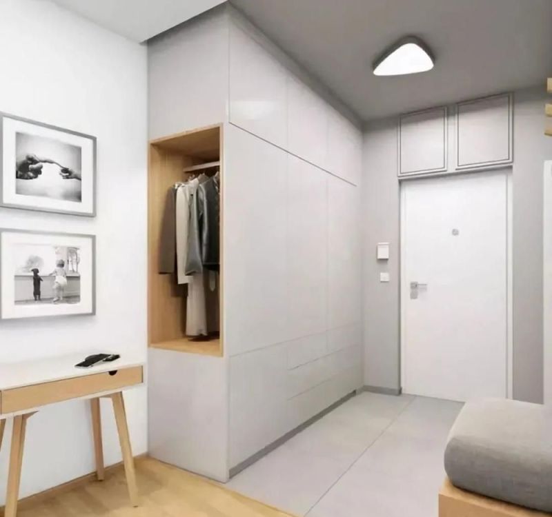 玄关空间够大，可以做个衣帽间，换鞋子换衣服都方便 - 家居知识