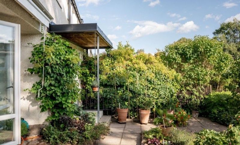 建筑师曾经的家，装饰明亮活泼，奏响欢快宁静的现代简约田园诗歌 - 家居知识