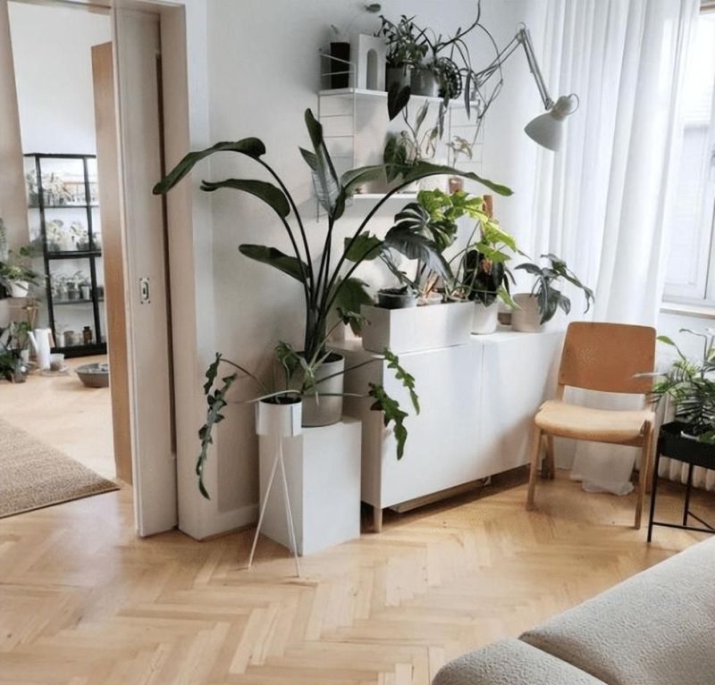 看北欧女主家，才知道什么是真正的生活，舒适又漂亮，太治愈了 - 家居知识