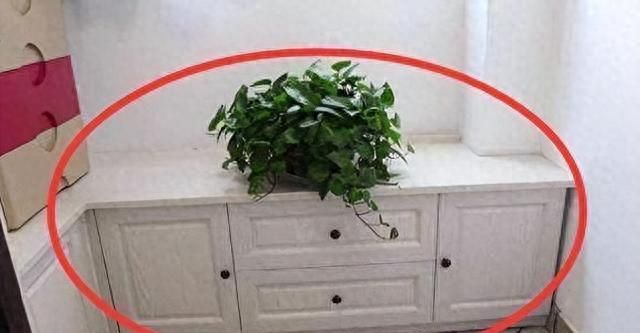 阳台柜别装到顶！聪明人这样设计，实用又好看