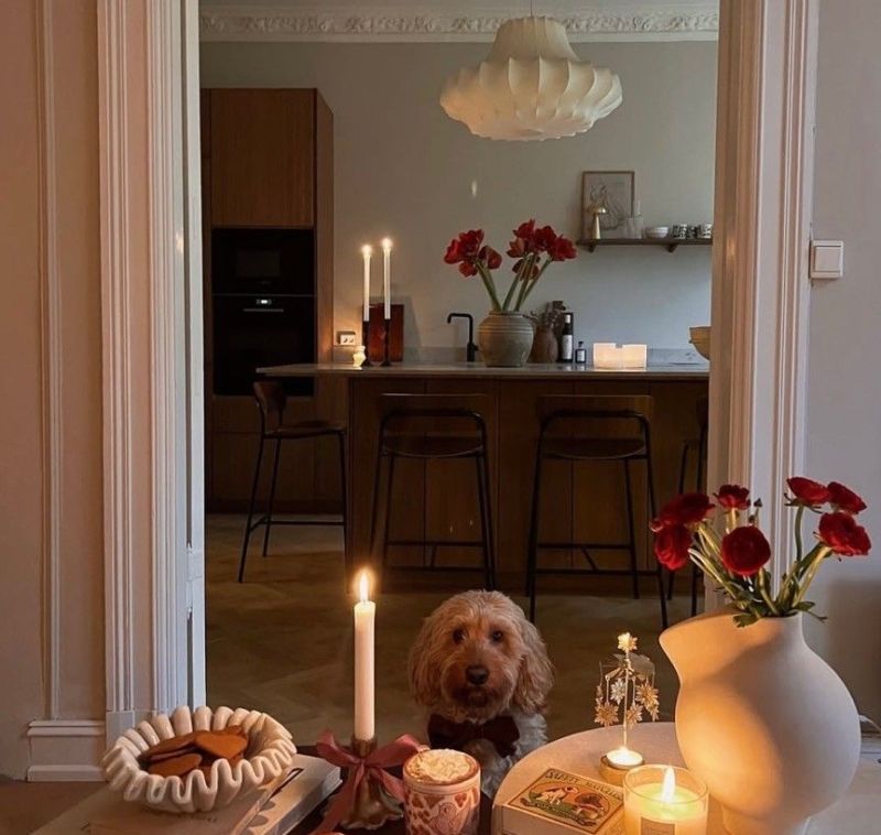 挪威女主的家，复古现代的装饰点亮满屋浪漫，温柔又透露着精致 - 家居知识