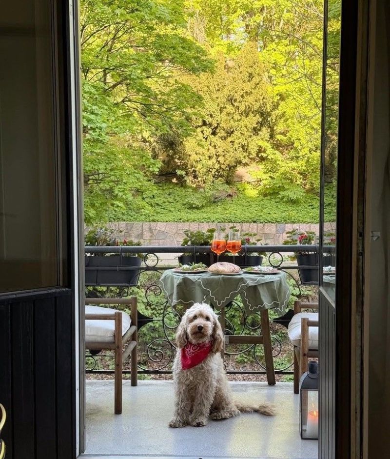 挪威女主的家，复古现代的装饰点亮满屋浪漫，温柔又透露着精致 - 家居知识