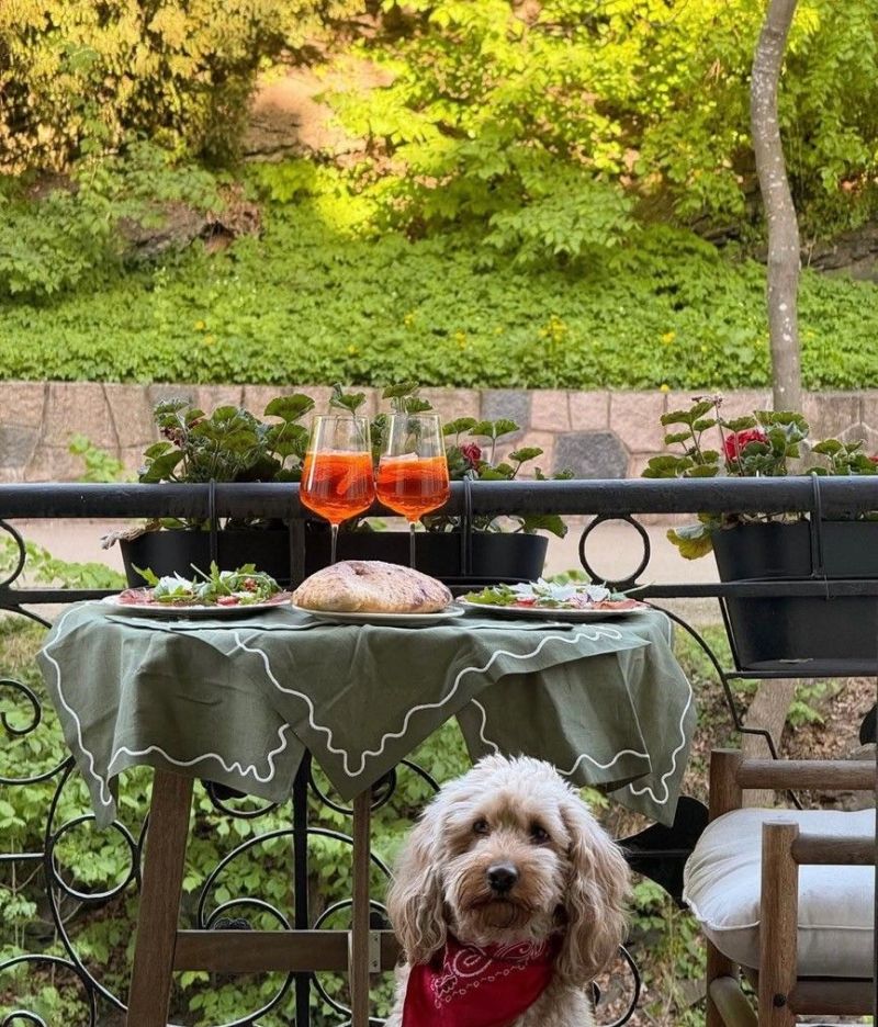 挪威女主的家，复古现代的装饰点亮满屋浪漫，温柔又透露着精致 - 家居知识