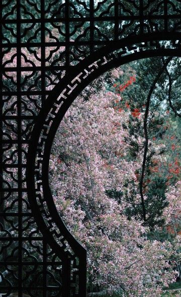 解锁新中式装修风格：传统与现代的绝美碰撞 - 家居知识