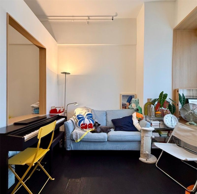 佛山女生晒出35㎡“一字形”蜗居，用半墙隔断大通间，独居太爽了 - 家居知识