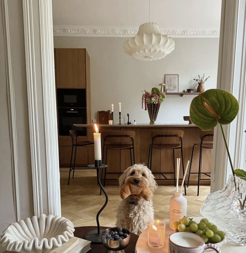 挪威女主的家，经典现代的装饰点亮满屋浪漫，温柔又透露着精致 - 家居知识