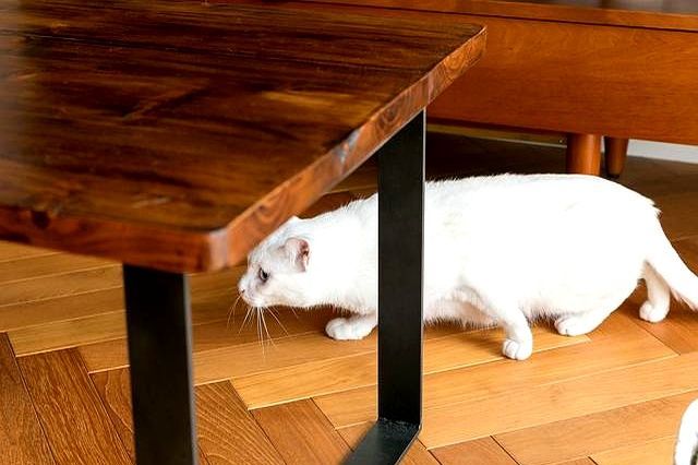 不社交，不乱买，要买就买最好，日本太太把59㎡家布置出高雅生活 - 家居知识