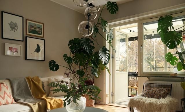 46平的家，简约装饰与复古元素，拥有慵懒又高级的复古腔调 - 家居知识