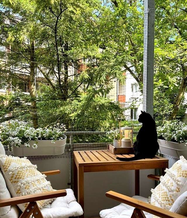 28岁德国女主家，简单安静的中性北欧风，一个人两只猫生活很平和 - 家居知识