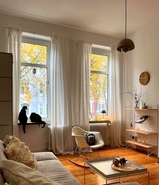 28岁德国女主家，简单安静的中性北欧风，一个人两只猫生活很平和 - 家居知识