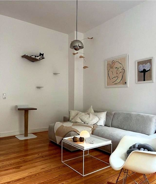 28岁德国女主家，简单安静的中性北欧风，一个人两只猫生活很平和 - 家居知识