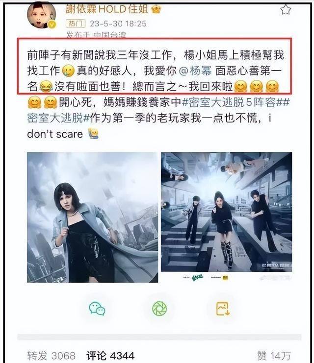 谢依霖晒日式装修翻车！家中装和室惹反感，网友劝其别来内地赚钱 - 家居知识