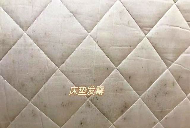 榻榻米定制需谨慎，6种问题太常见，难怪售货员抱怨“销量大跌” - 家居知识