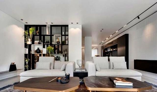 现代轻奢风格别墅，黑白色的装修简单、大气好看，大爱啊！ - 家居知识