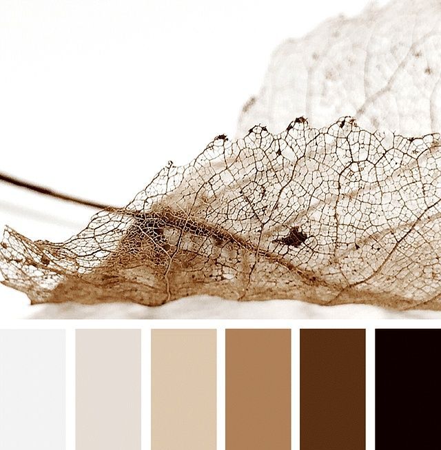 这个家的装修配色让我舒适，120㎡自由奔放美式风格，赏心悦目 - 家居知识