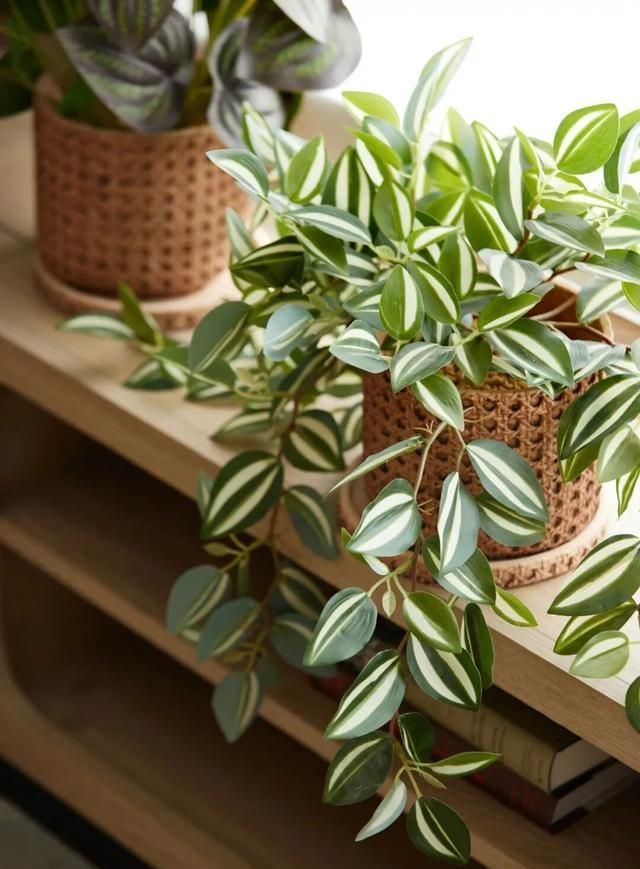 98㎡轻中古住宅，漫度自由时光 - 家居知识